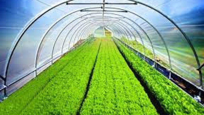 Agricultural Films And Bonding Market: Global Industry Analysis, Trends, Growth and Forecast