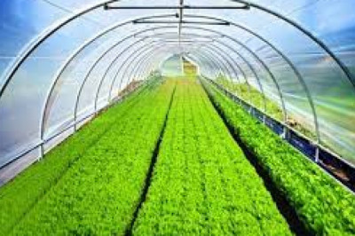 Agricultural Films And Bonding Market: Global Industry Analysis, Trends, Growth and Forecast