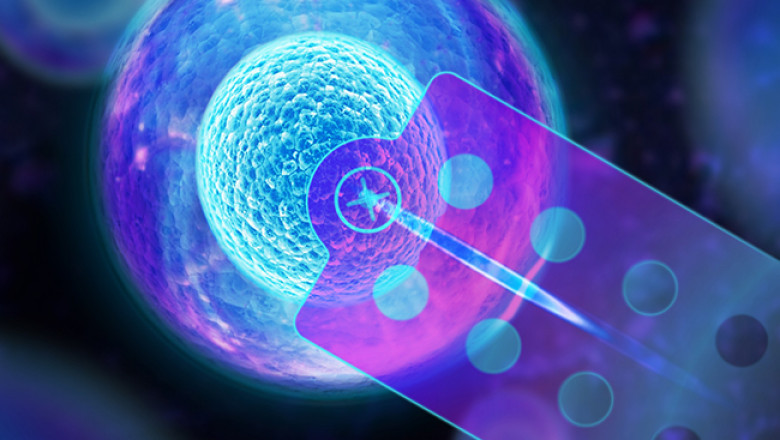 Single Cell Analysis Market Facts, Figures, Advantages, Challenges, and Future Projections to 2028
