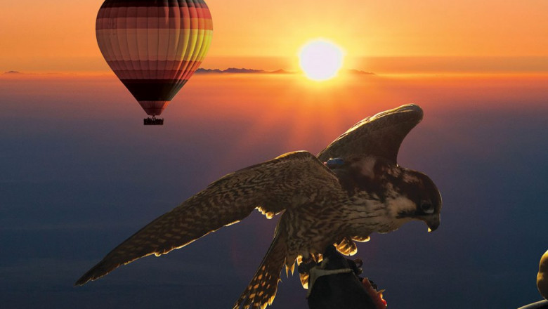 Hot Air Balloons Dubai - Things to Do in Dubai While You're in the Air
