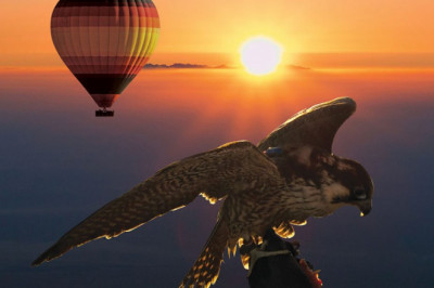 Hot Air Balloons Dubai - Things to Do in Dubai While You're in the Air