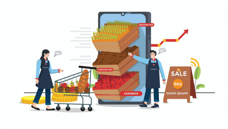 Start An Online Grocery Business In Canada