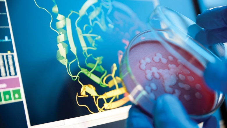 Protein Detection and Quantification Market 2022 Demand, Size, Share, Growth Opportunities, Segmentation, Trends and Forecast to 2025 |Research Informatic