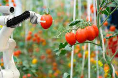Agricultural Robots Market Research, Major Manufacturers, Analysis, Industry Demand by Segmentation and Forecast