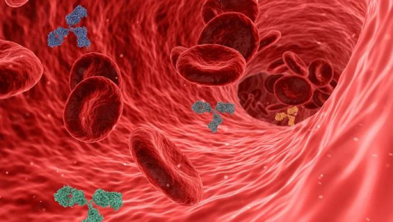 All You Need to Know Antibody Sequencing