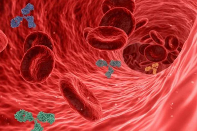 All You Need to Know Antibody Sequencing