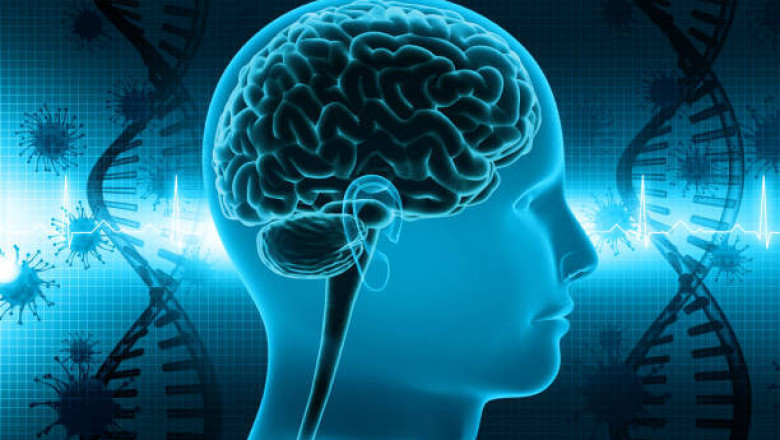 Epilepsy Surgery Market: Global Industry Trends, Share, Size, Growth, Opportunity and Forecast 2022-2027