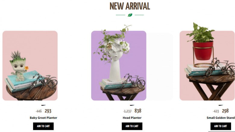 Indoor plants in India