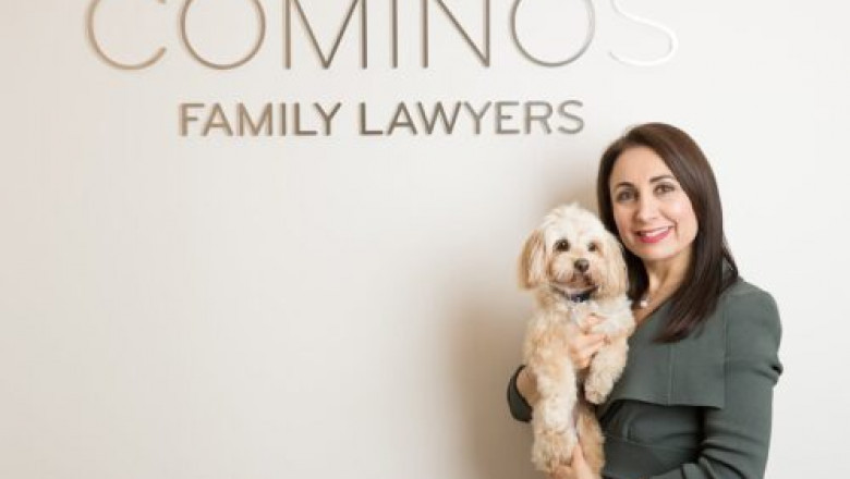 Why is a High Net Worth Divorce Lawyer Important For Divorce?