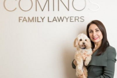 Why is a High Net Worth Divorce Lawyer Important For Divorce?