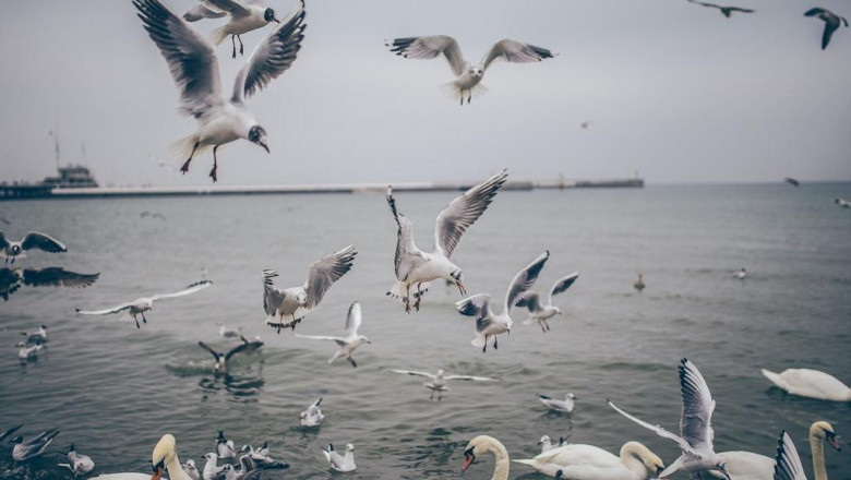 10 nofuss ways to figuring out your quicksilver