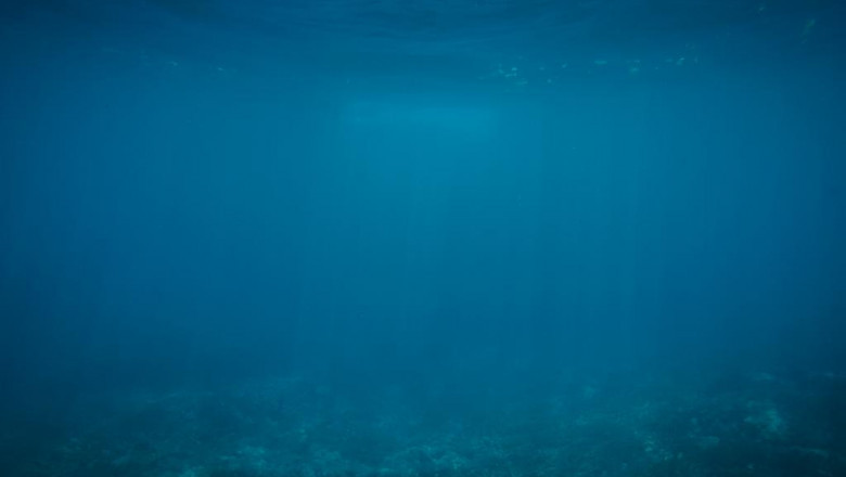 4 online resources for finding the best triathlon coach for you