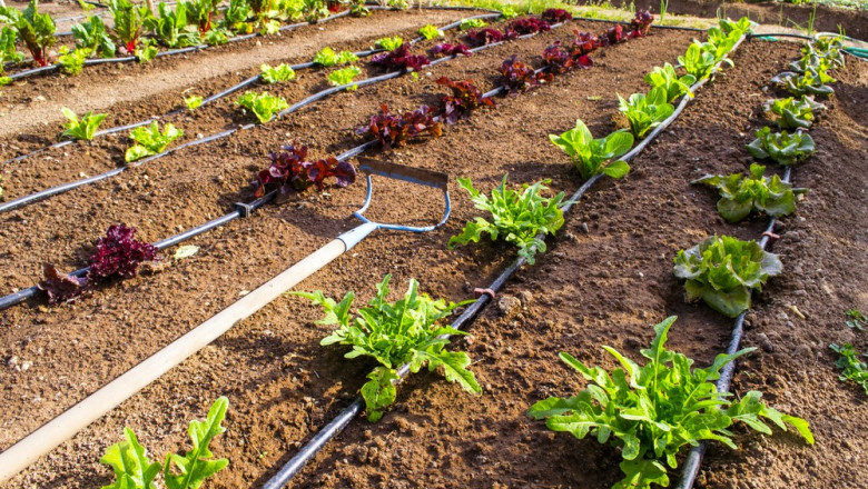 Global Agriculture Drippers Market Size, Share, Trends, Analysis, Stats and Forecast 2022-2028
