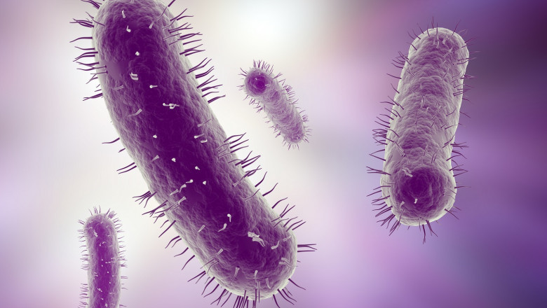 Global Microbial Control Market Size, Share, Trends, Analysis, Stats and Forecast 2022-2028