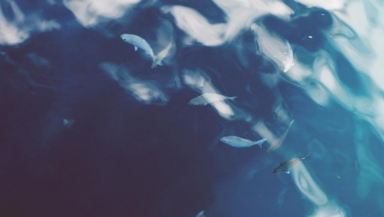 how to outsmart your boss on tableau training london