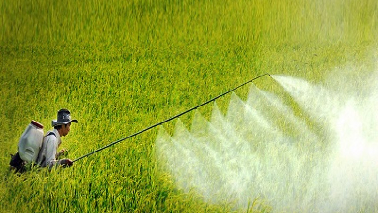 Vietnam Pesticides Market to Grow With Impressive CAGR Through 2027