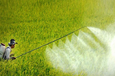 Vietnam Pesticides Market to Grow With Impressive CAGR Through 2027