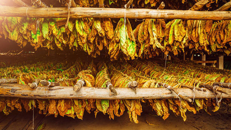 Canada Tobacco Market Data Review