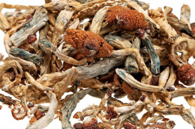 Buy magic mushrooms uk