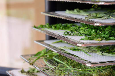 What do You Mean by a Food Dehydrator?