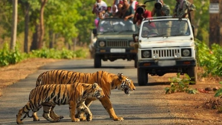 Jim Corbett Jungle Safari Available in Winsome Resort