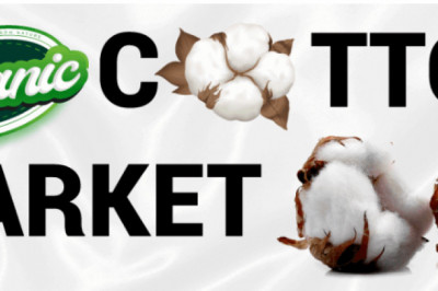 Organic Cotton Market Research by Business Opportunities, Top Manufacture, Industry Growth, Industry Share Report by 2028