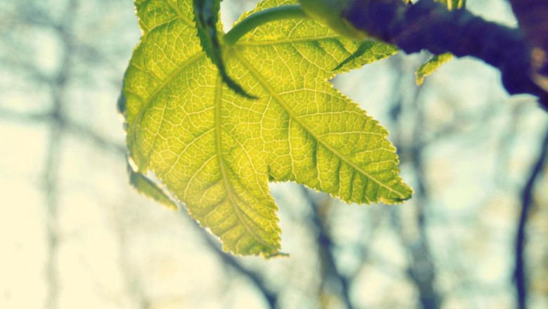 sturdi buildings metal buildings for sale