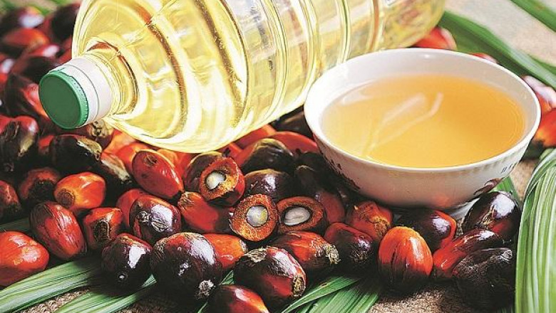 Indonesia Edible Oil Market Share, Size, Opportunity, Trends and Forecast 2026