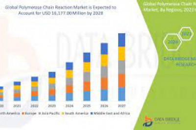 Polymerase Chain Reaction Market Growth New Business Opportunities and Challenges, Upcoming Trends, Future Planning & Forecast to 2028