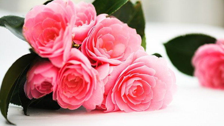 Flower Delivery in Puducherry