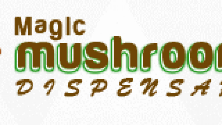 Golden Mammoth Mushroom| Magic Mushroom Dispensary