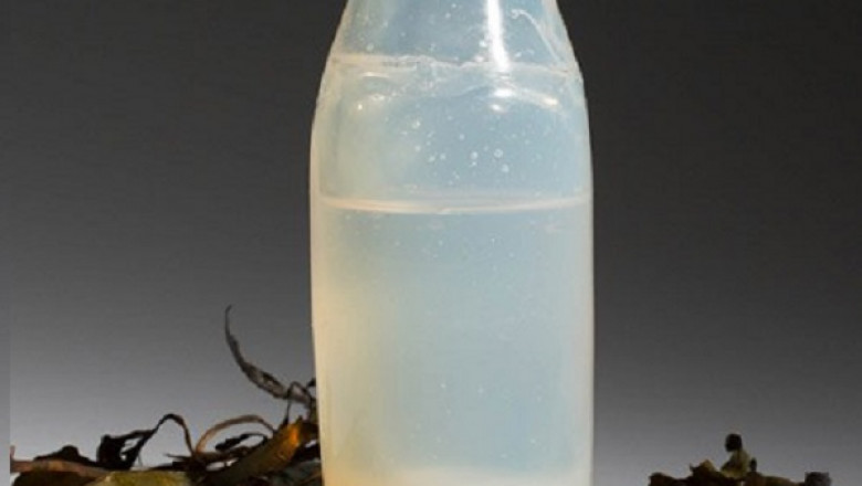 Biodegradable Algae Water Bottles Market - Trends, Growth, with COVID19 Impact, Forecast By 2029