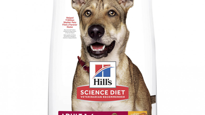 Hills Science Diet Adult Chicken and Barley Dry Dog Food