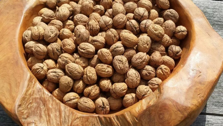 Nuts for walnuts: 5 reasons to go nuts for these nutritious nuts
