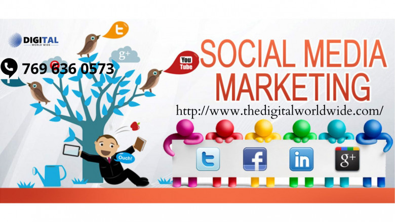 Social Media Marketing in Mohali