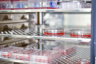 Stem Cell Manufacturing Market Report : Competition is Intense with The Presence of Existing Players 2027