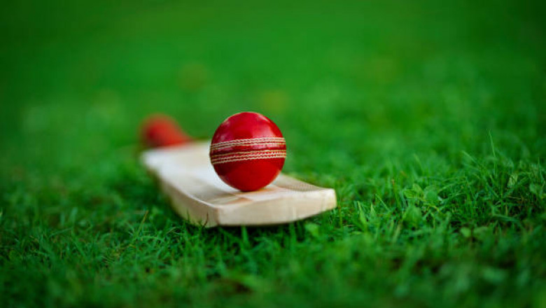 2013 IPL