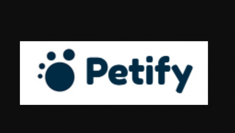 Considerations Just before Buying Pets