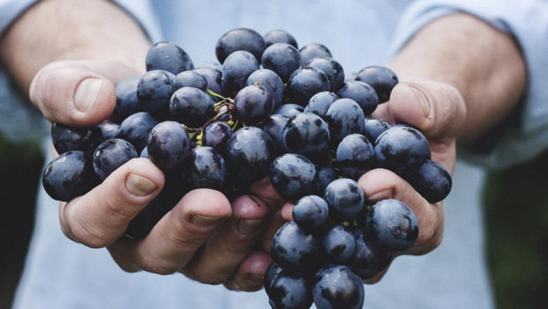 10 tips for making a good what is thcp even better