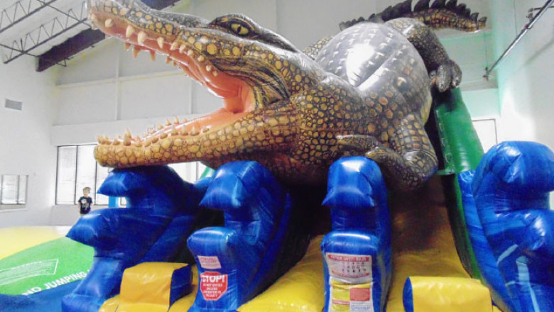 8 Tips to Find Out a Fun Kids’ Birthday Party Venue in Houston | Wonderwild