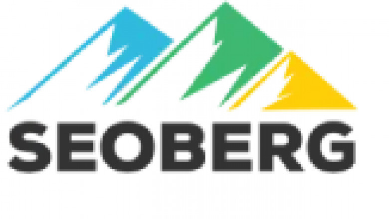 SEO Berg: Leading Digital Marketing Agency