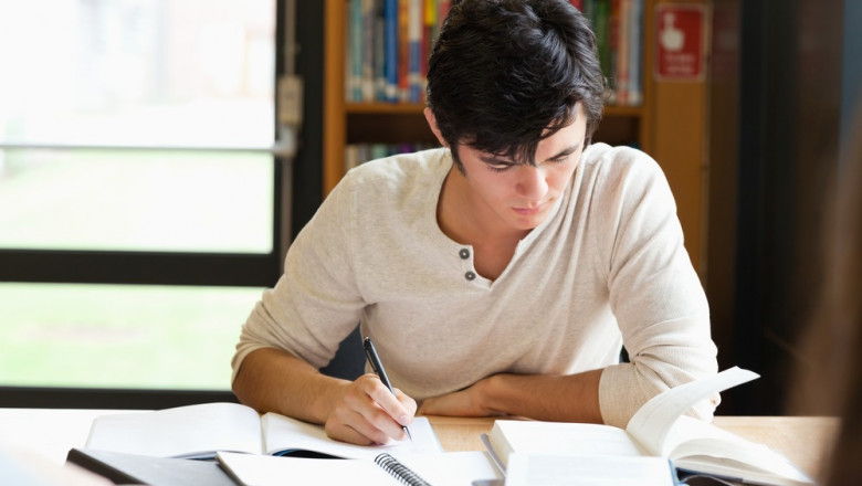 Top Essay Writer