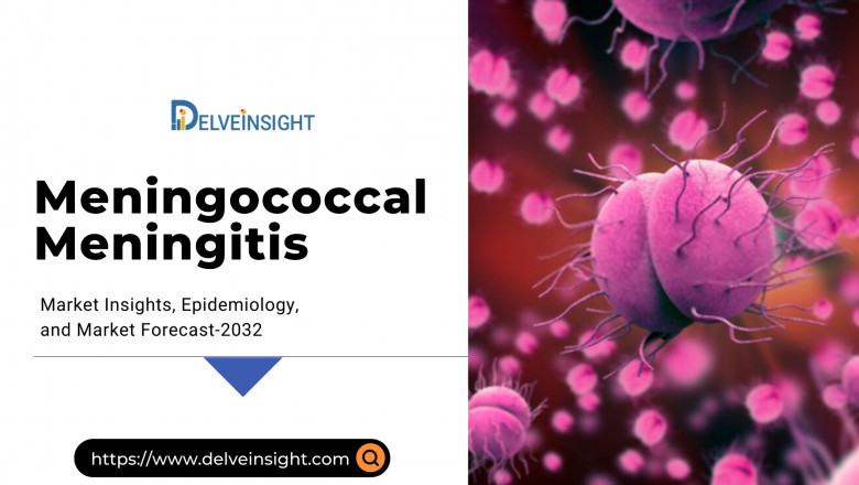 What is the Meningococcal Meningitis Market Share, Forecast, and Trends?