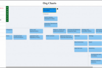 Account Planning Creates New Growth Dimension When It Leverages Org Charts.