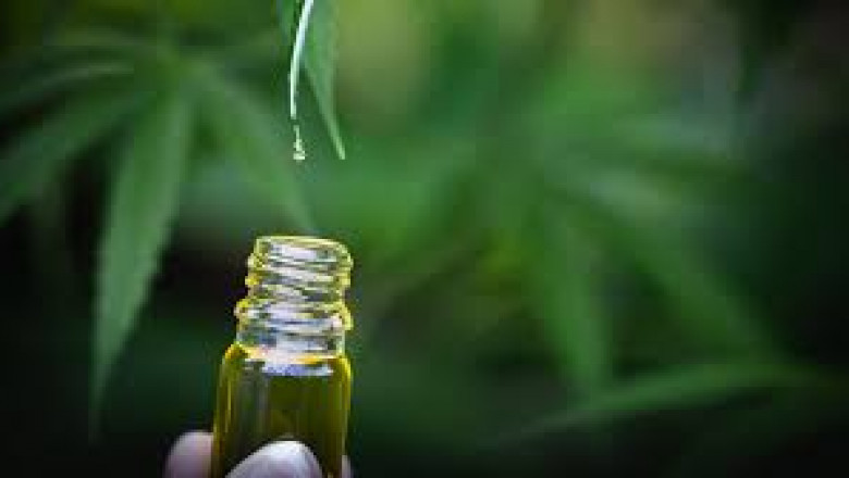 Change Your Fortunes With Best CBD Oils