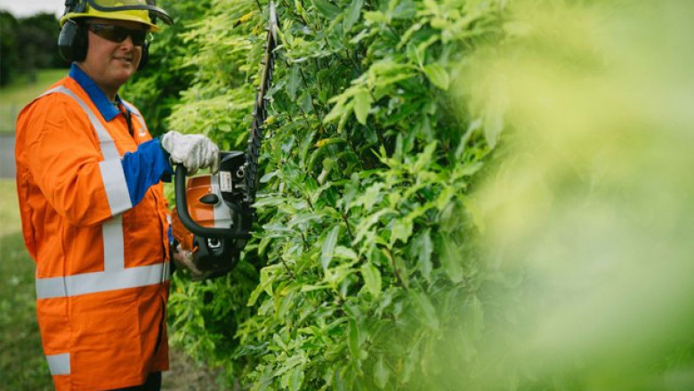 Offering trusted arborist services in New Zealand Treescape