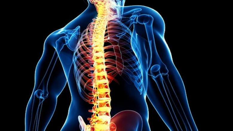Spinal Implants & Devices Market Trend 2022, In-Depth Insight, Size, Share, COVID-19 Impact Analysis and Forecast 2027