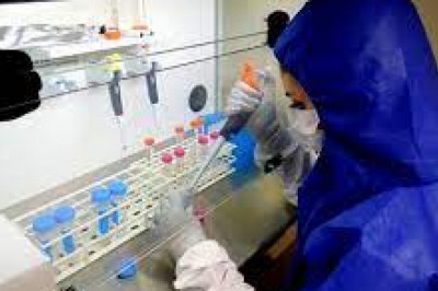 Market Study on Toxicology Laboratories Market Revenue, Key Opportunities, Latest Rising Trends, Industry Growth, Future Demand Report 2028