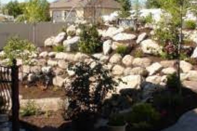 Tropical Landscaping Draper
