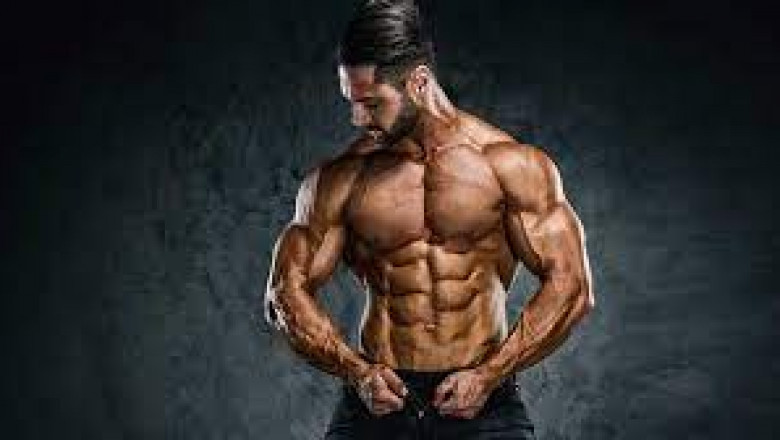 How to Create A Fitness Program for Beginners